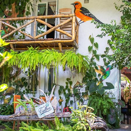 Hotel Casa Zen Galeria Y Cafe A Solo 8 Min De La Playa ซานตา ครูซ ฮัวทุลโก ภายนอก รูปภาพ